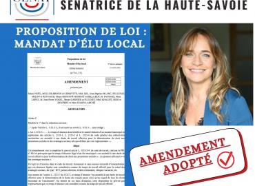 Adoption d'un de mes amendements - PPL Mandat d'élu local